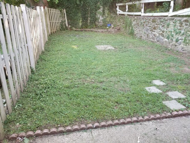 Backyard - 4541 Manayunk Ave