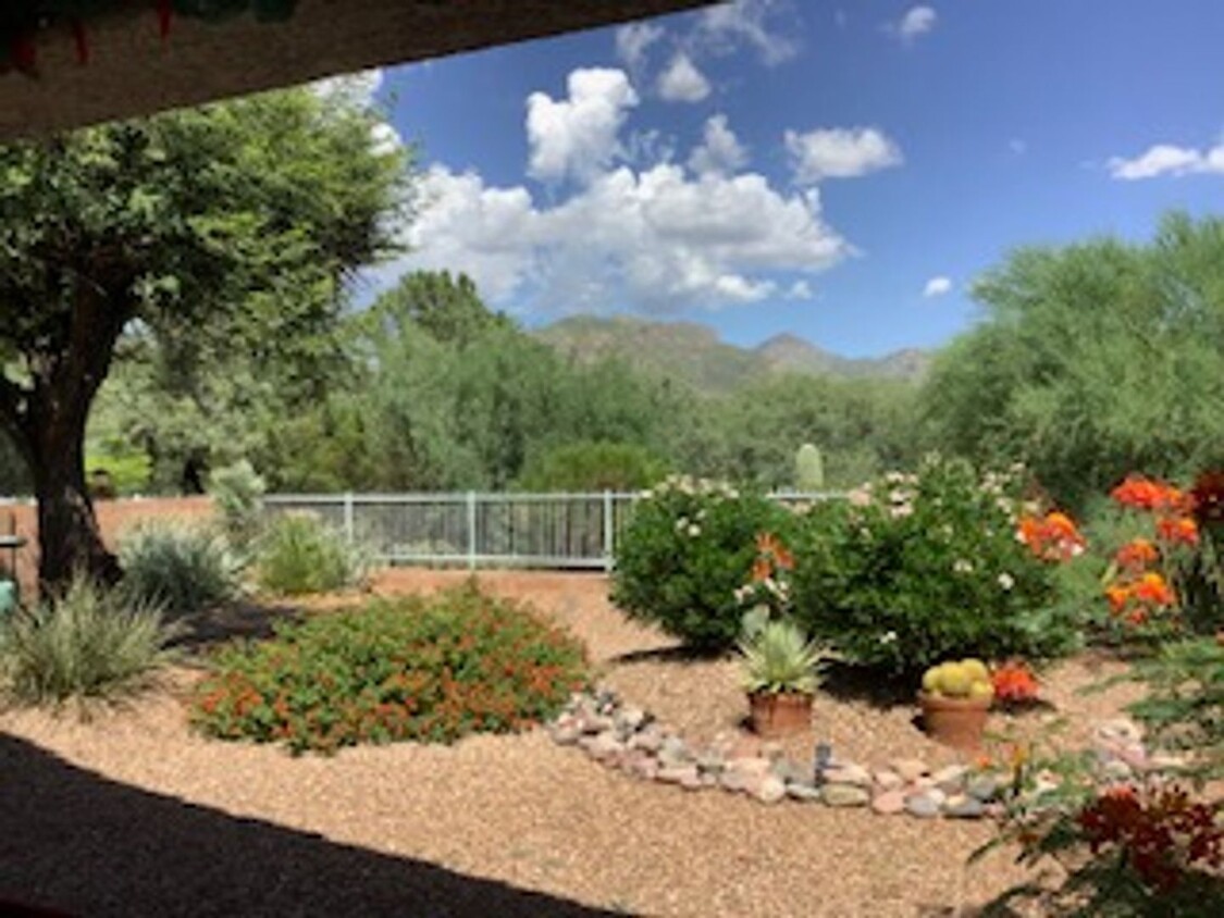 Foto principal - Sabino Canyon Furnished Vacation Home