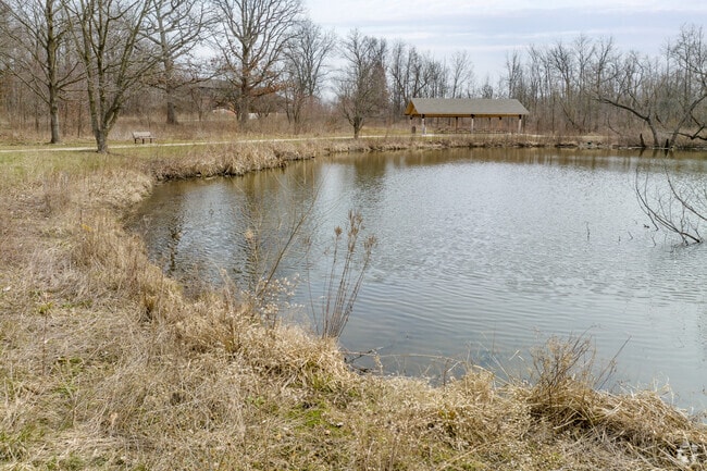 In Yorkville, Pickerill-Pigott Forest Preserve Features 95 Scenic Acres of Oak Woods, Wetlands and Ponds