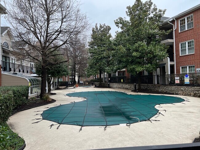Piscina - 3303 Wyndham Cir