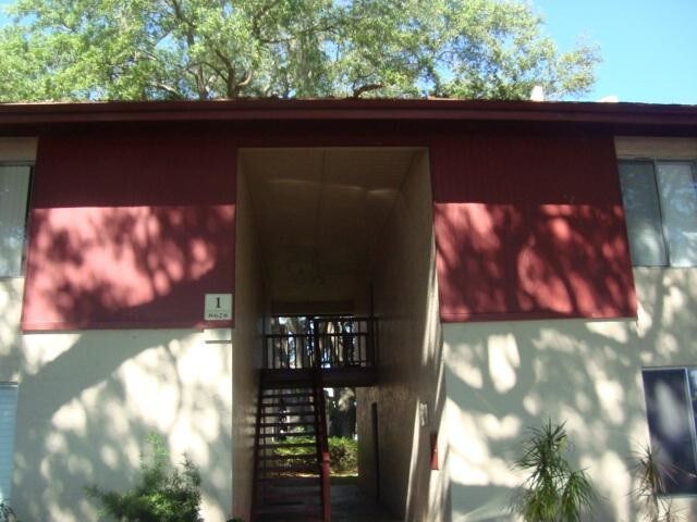 Primary Photo - 1 bedroom in Tampa FL 33614-2067