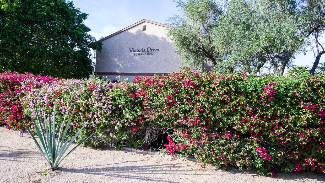Primary Photo - Victoria Townhomes