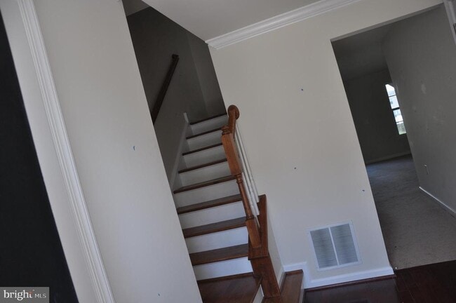 Building Photo - 905 Susan Cir