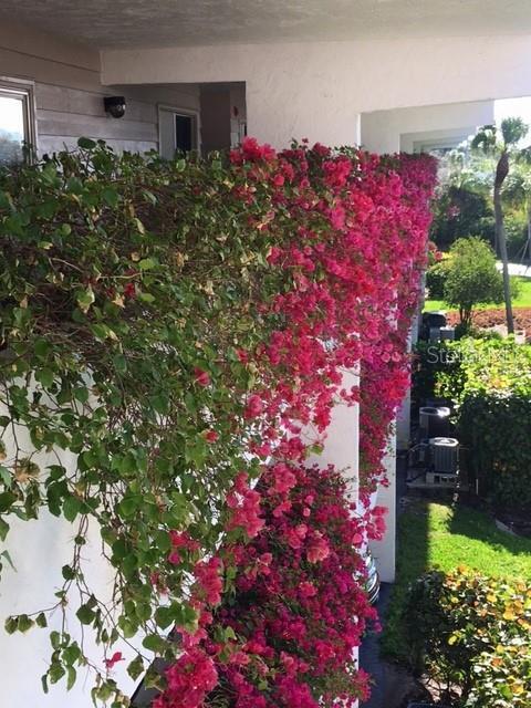 Foto del edificio - 9604 Cortez Rd W