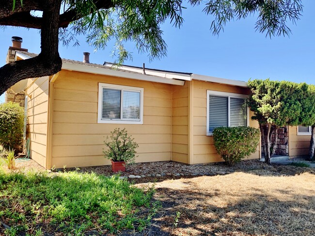 Building Photo - 1730 Cerra Vista Dr