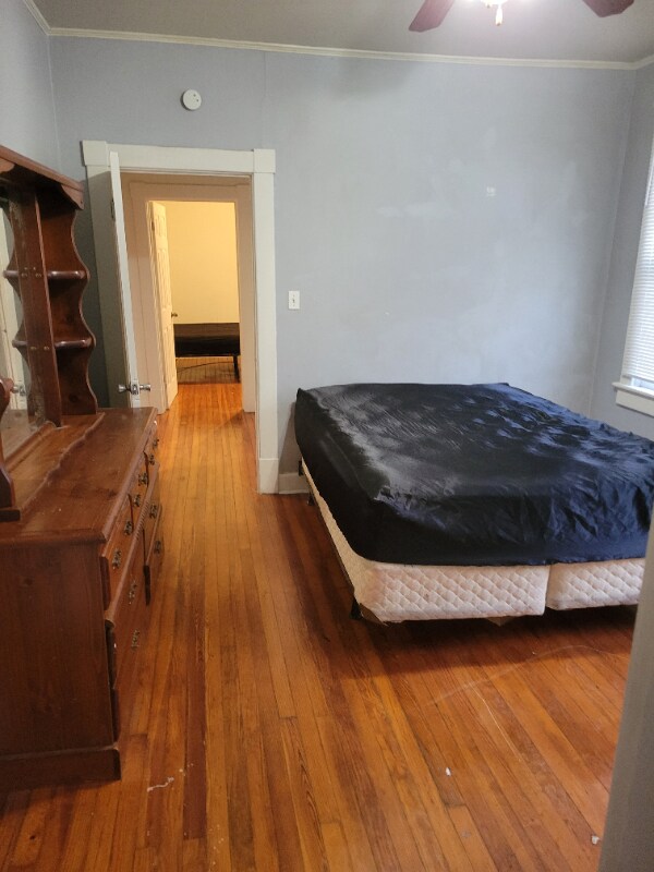 Building Photo - 513 Mt Vernon Ave