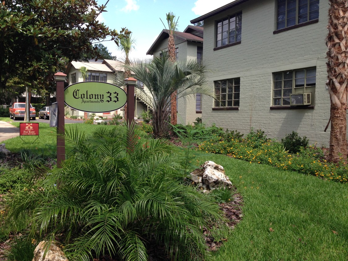 Primary Photo - Colony 33