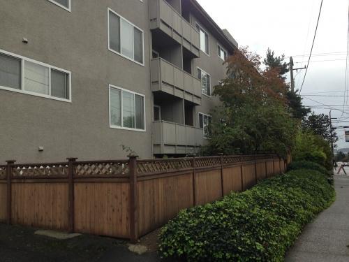 Primary Photo - 1 bedroom in Seattle WA 98115