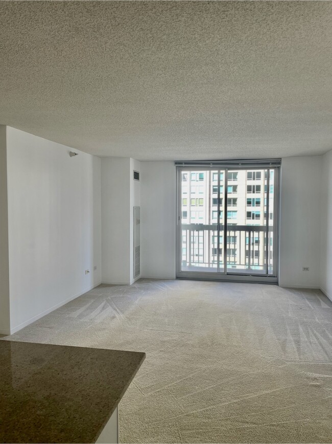 Building Photo - 545 N Dearborn St