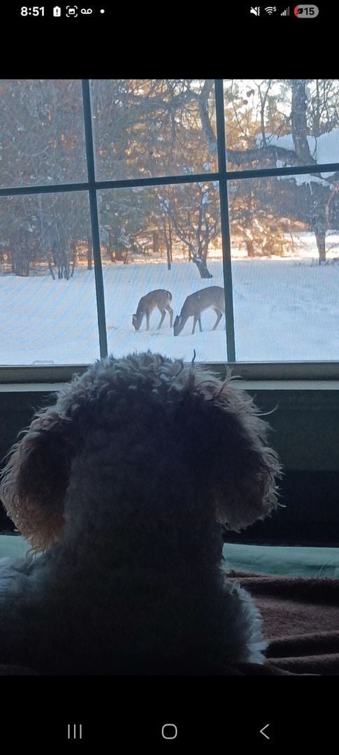 Building Photo - 1781 Tyler Rd SE