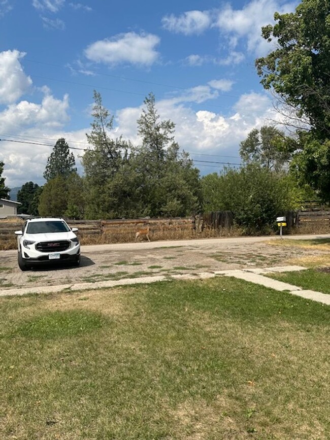Building Photo - Remodeled 4 bedroom home in Target Range