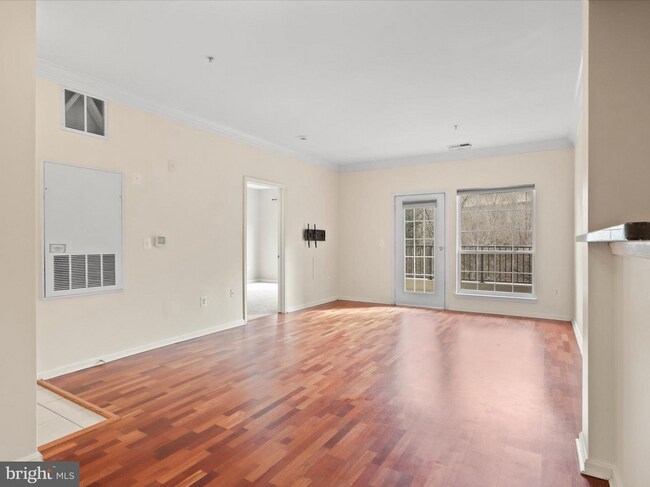 Living Room - 4860 Eisenhower Ave (Alexandria, VA) Apartment