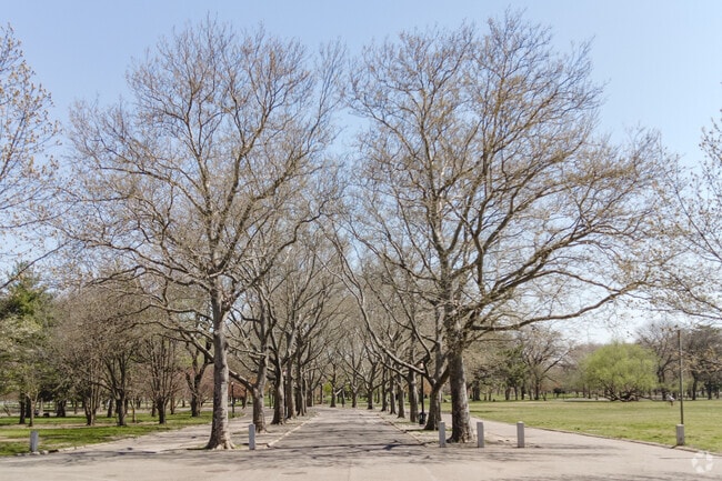 Beautiful trees line the walkways in the park in Flushing Meadows, NY.