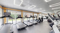 Located at 105 Lighthouse Terrace in Edgewater, NJ, this fitness center is a thoughtfully designed exercise facility offering a comprehensive workout environment. The space is defined by a bright, open layout illuminated by a combination of large perimeter windows and modern recessed linear LED lighting embedded in a clean white paneled ceiling, creating an energetic yet comfortable atmosphere.

The cardio zone features a row of Life Fitness treadmills and elliptical machines, all positioned to face the windows, allowing users to exercise with views of the surrounding greenery. The strength training area is equally well-appointed, housing a variety of selectorized cable machines, a functional trainer, a multi-station cable cross system, and a full dumbbell rack with free weights ranging across multiple sizes, accompanied by an adjustable workout bench.

The flooring throughout is durable dark rubber, well-suited for high-traffic fitness use. Floor-to-ceiling mirrors line portions of the walls, amplifying the sense of space and providing visual feedback during workouts. The interior design incorporates bold gold and gray accent stripes along the upper walls, adding a dynamic visual identity to the space. A glass-paneled entry door provides easy access. This facility offers a complete and professional fitness experience within a compact yet efficiently organized footprint.