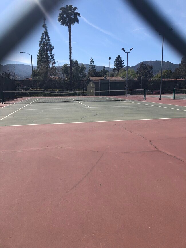 Tennis court - 1542 Border Ave