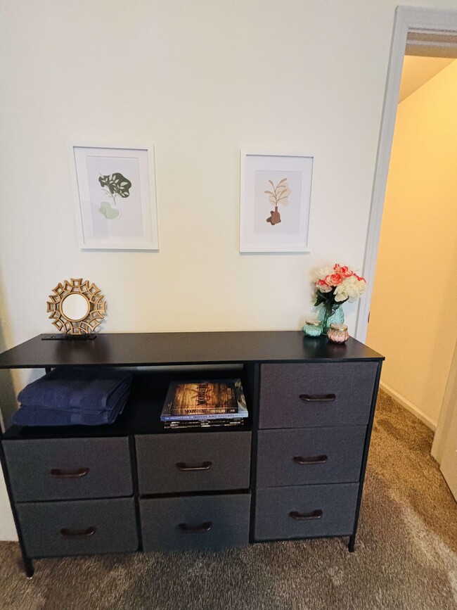 Dresser perfect for clothes or other storage. - 105 Lincoln Place Cir