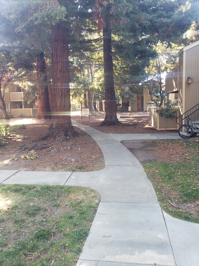3266 Red Cedar Ter Unit 3266, Fremont, CA 94536 Condo for Rent in