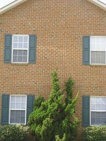 Primary Photo - Hampton Court Apartments