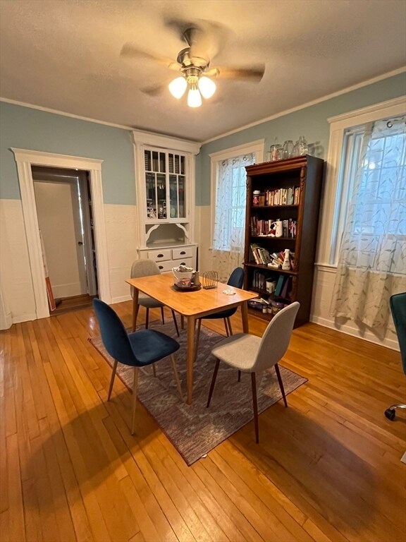 Foto del edificio - 22 Bellvista Rd