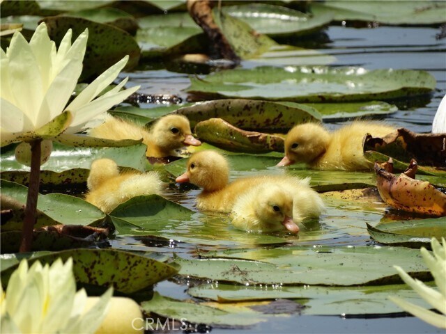 Foto del edificio - 5 Woodspring Cove