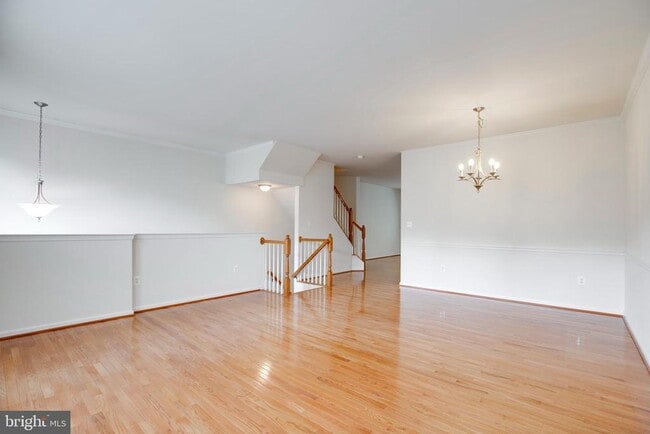 Foto del edificio - 8346 Leighlex Ct