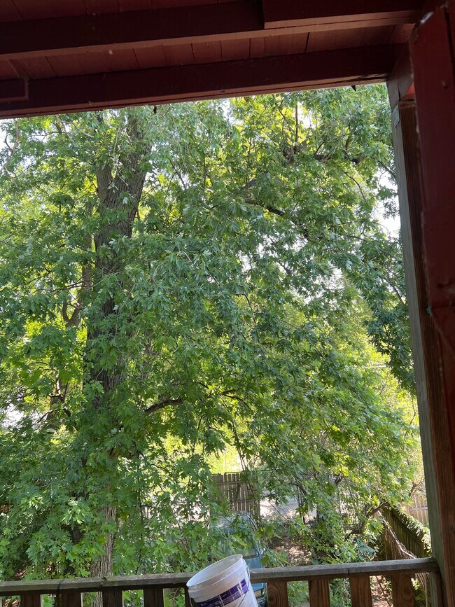 Tranquility from the back porch - 7033 S Emerald Ave