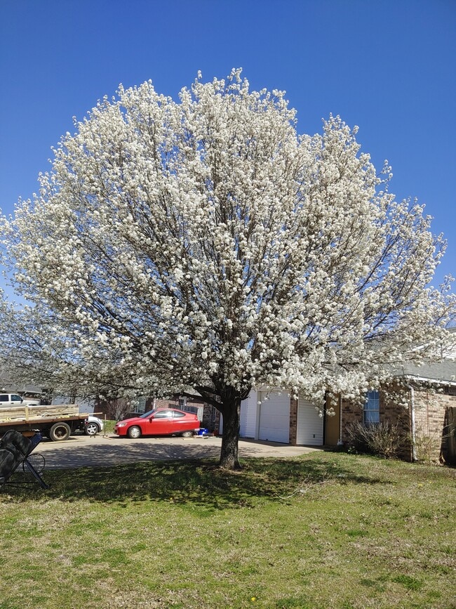 Building Photo - 204 Killdeer Dr