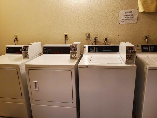 Foto del edificio - 2 bedroom in San Francisco CA 94117