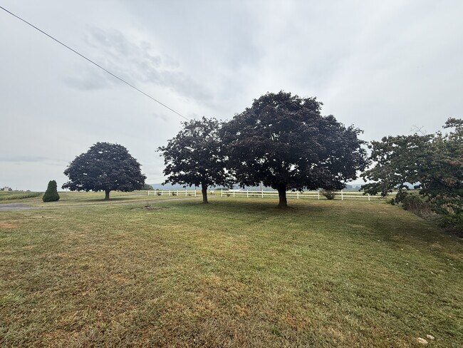 Foto del edificio - 157 Shade Rd