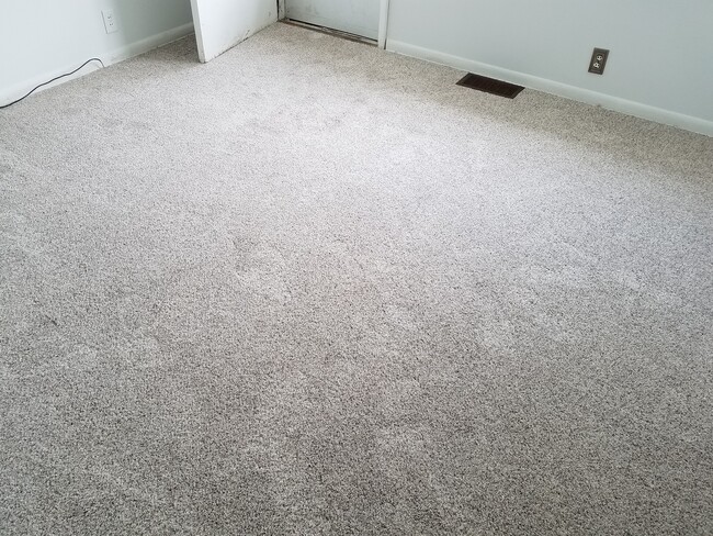 carpet is only 1 1/2 years old - 315 Elm St
