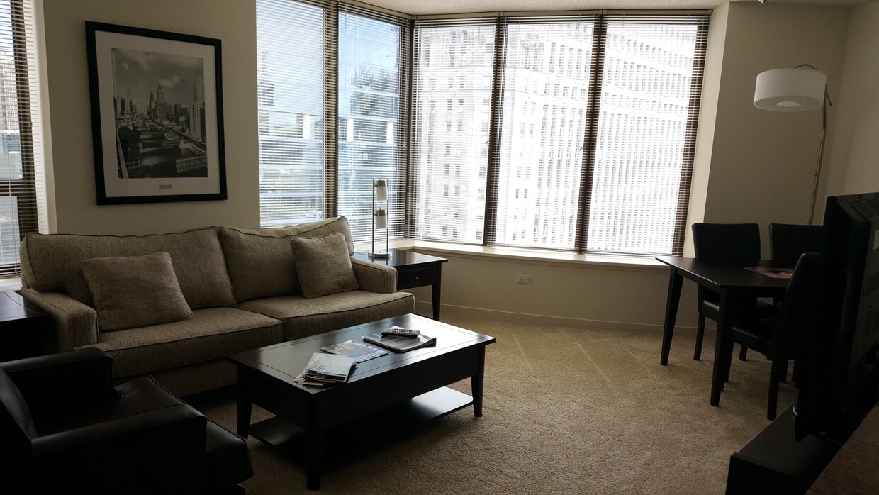 Livingroom - 400 N LaSalle Dr