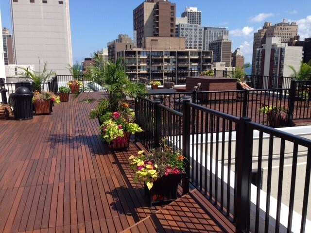 Shared rooftop - 1339 N Dearborn St