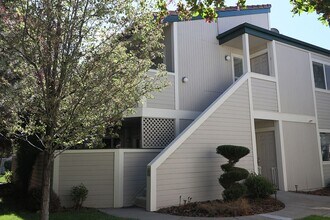 Building Photo - 2659 Sycamore Glen Dr