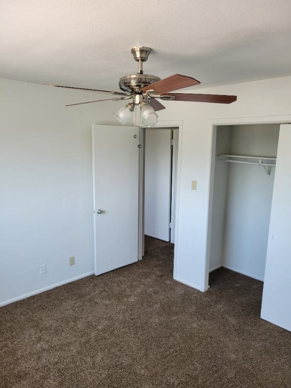 Building Photo - 207 Sprucewood Ln