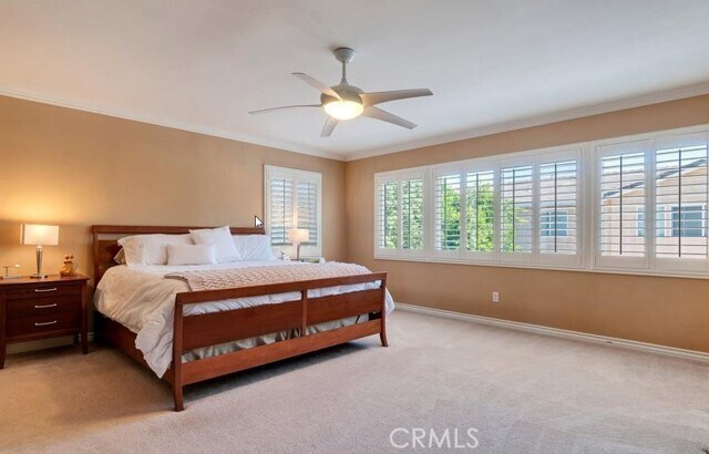 Foto del edificio - 6902 Hop Clover Rd