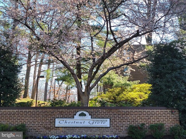 Foto del edificio - 11208 Chestnut Grove Square