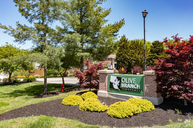 Foto del edificio - Olive Branch Townhomes