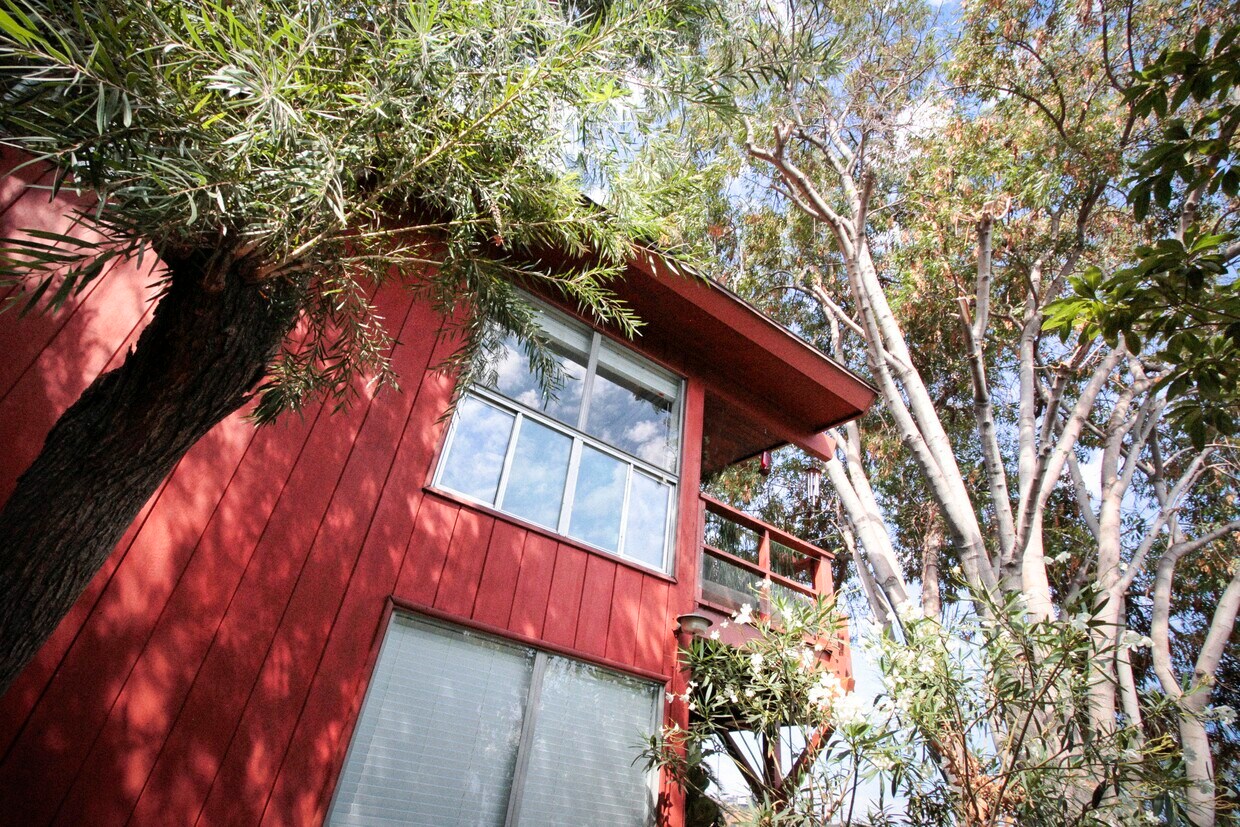 Primary Photo - 6849 Alta Loma Terrace