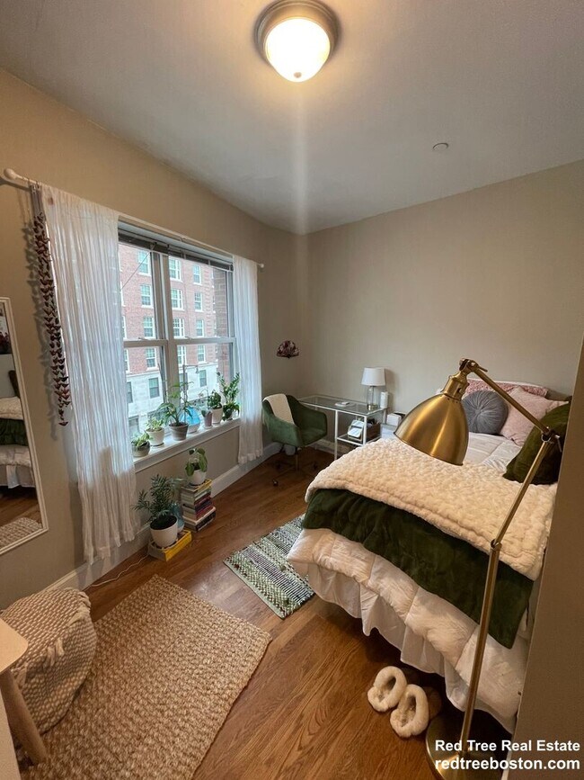 Foto del edificio - 491 Commonwealth Ave