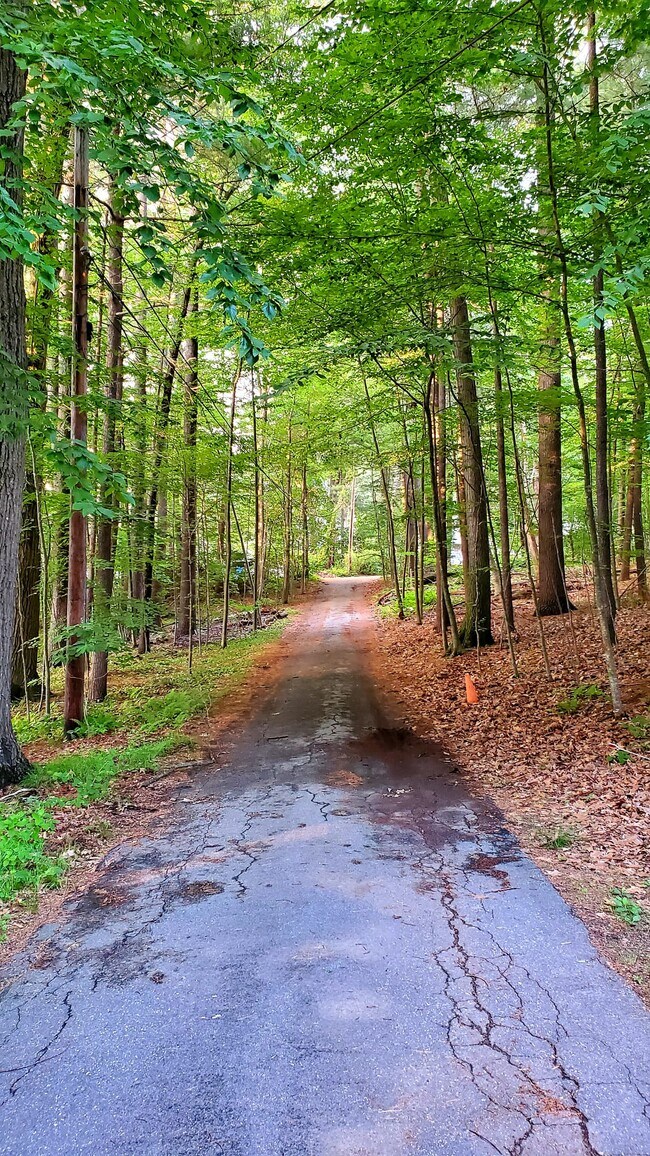 16 Laurel Ave, Westford, MA 01886 House Rental in Westford, MA