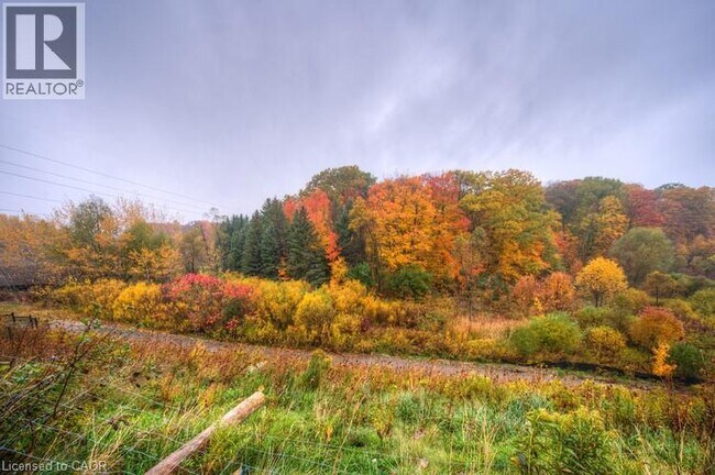 Photo du bâtiment - 261 Woodbine Ave