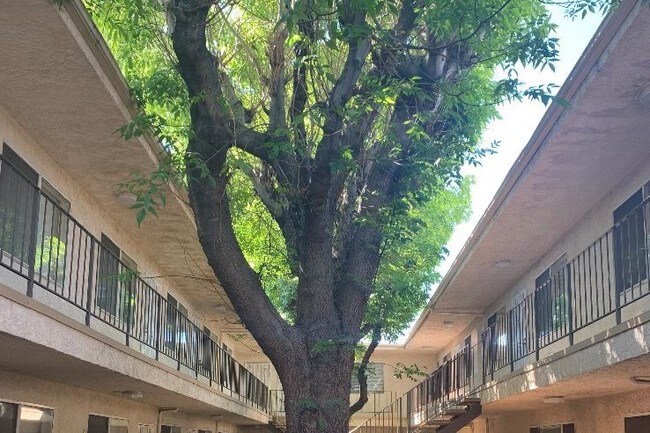 Courtyard - 20954 Parthenia St