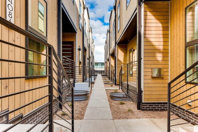 New Construction 3 Bedroom Townhomes for Rent - New Construction 3 Bedroom Townhomes for Rent