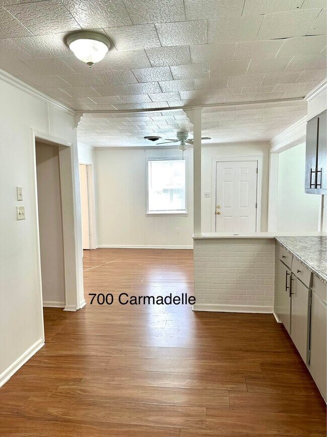 Building Photo - 700 Carmadelle St