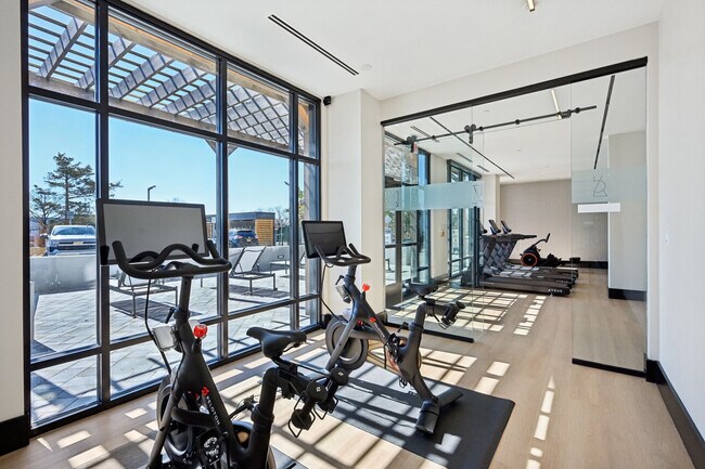 Las bicicletas de spinning Alice - The Alice