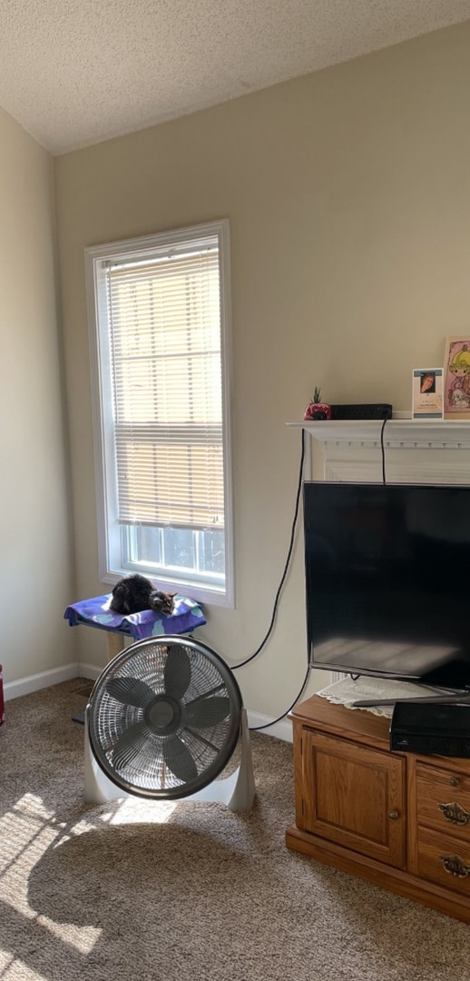 Building Photo - 3787 Man O War Blvd