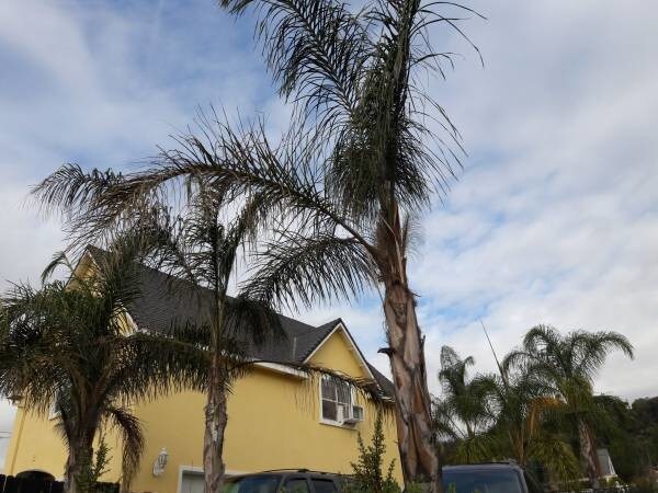 Building Photo - 840 Mesa Dr