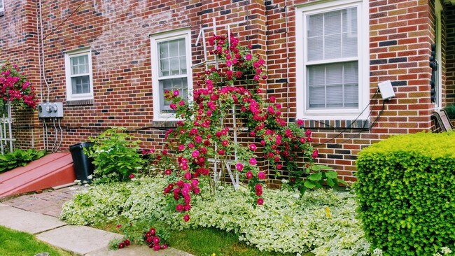 Foto del edificio - 1545 Schuylkill Ave