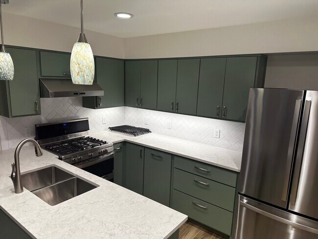 Encimeras de Silestone y electrodomésticos de acero inoxidable - 3904 Tonkawa Trl