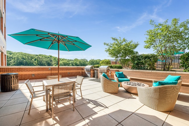 BBQ grills and fire pit - Twenty50